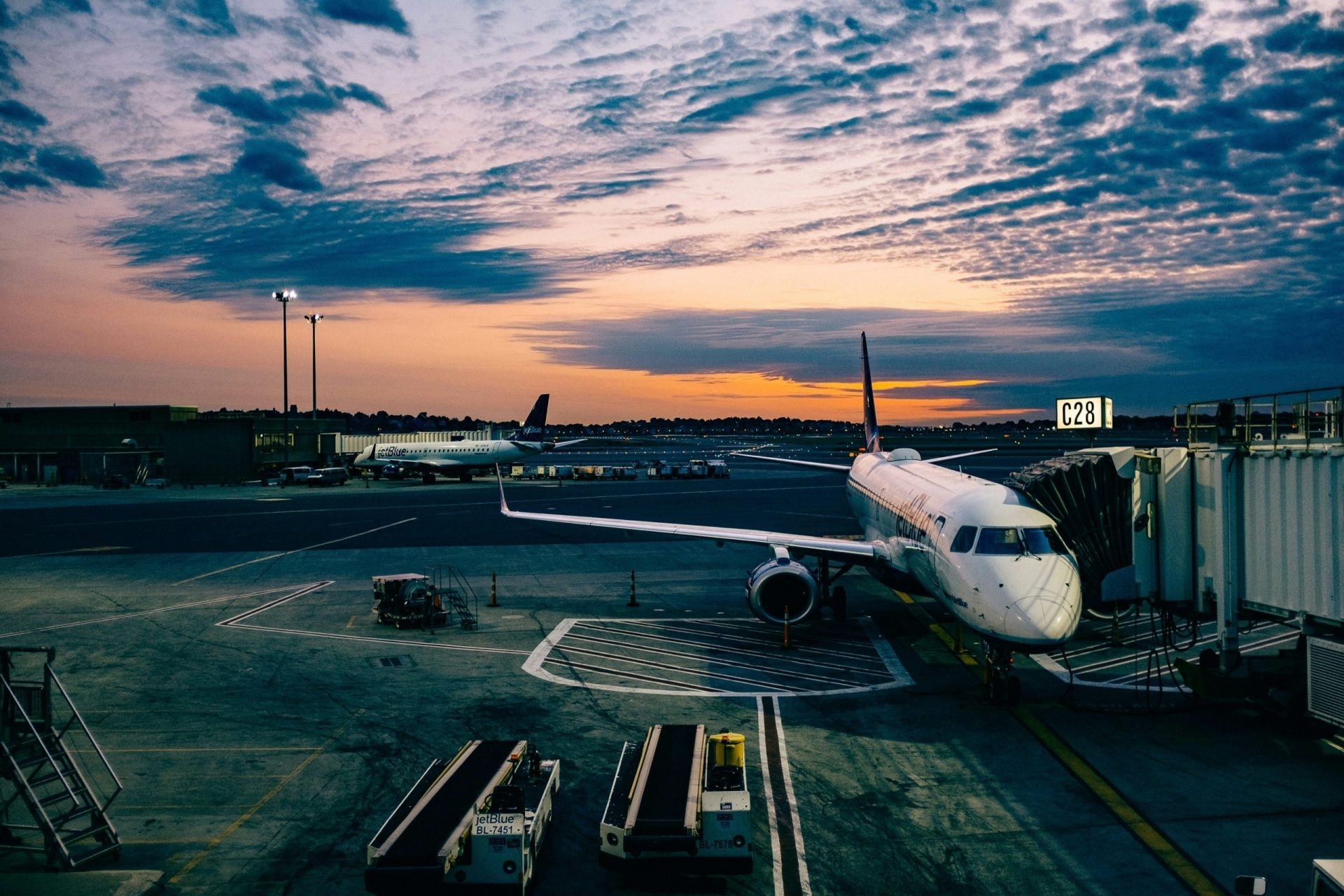 8. Photo by Ashim D’Silva on Unsplash